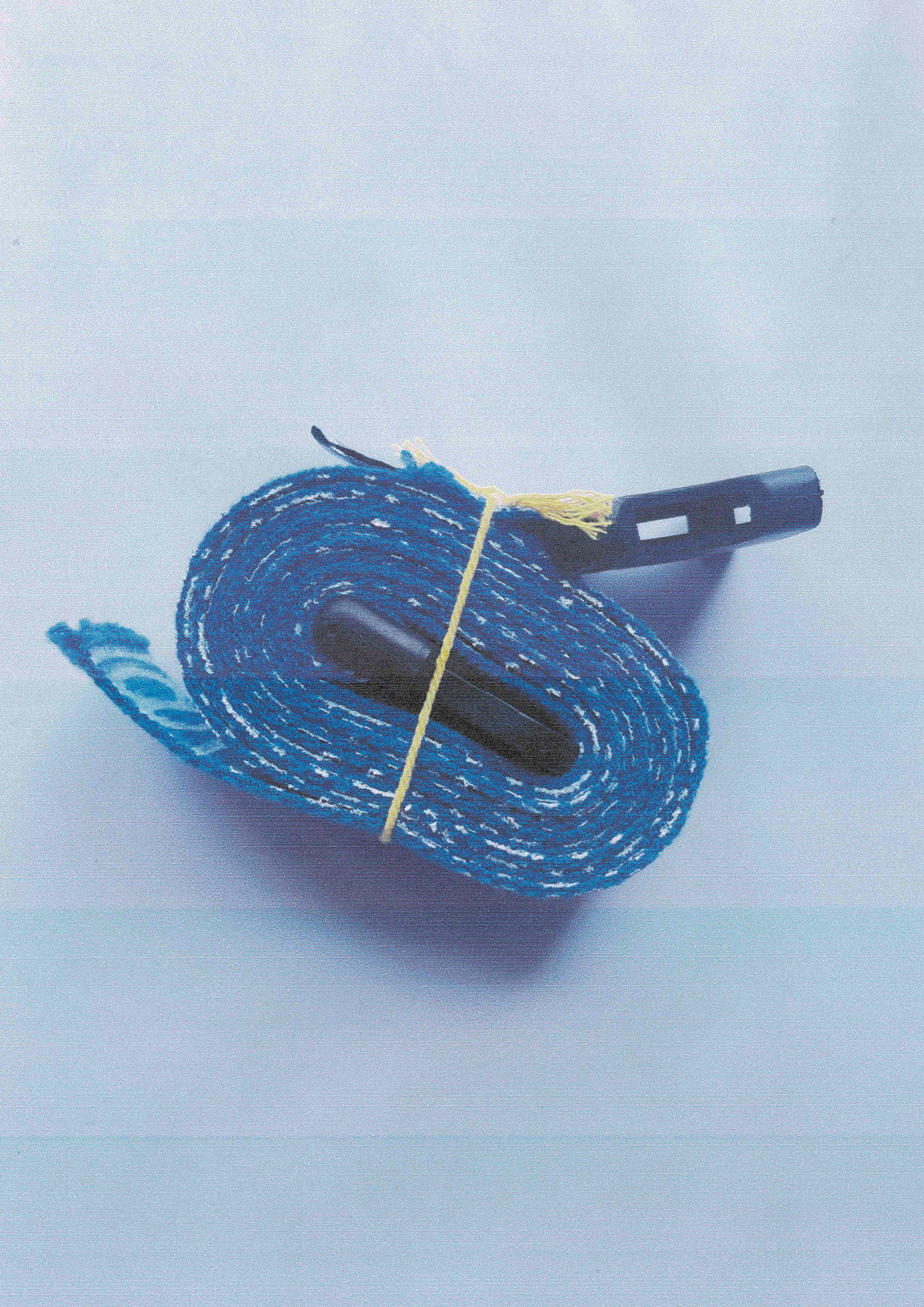 SS25 Judo Blue Belt SAMPLE